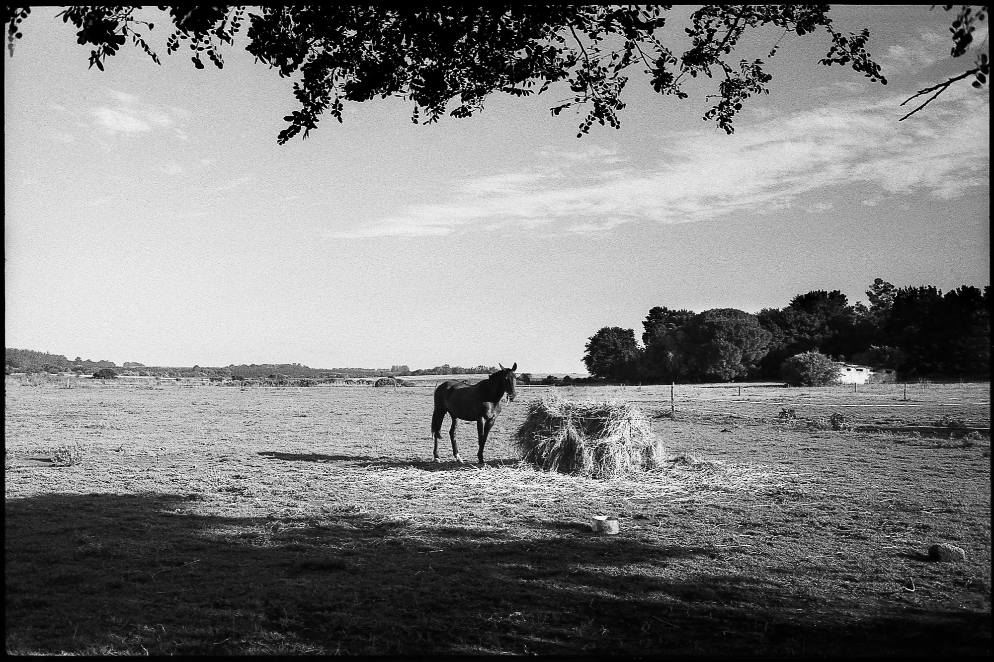 Sierra de los Padres landscape photograph, 1 of 10
